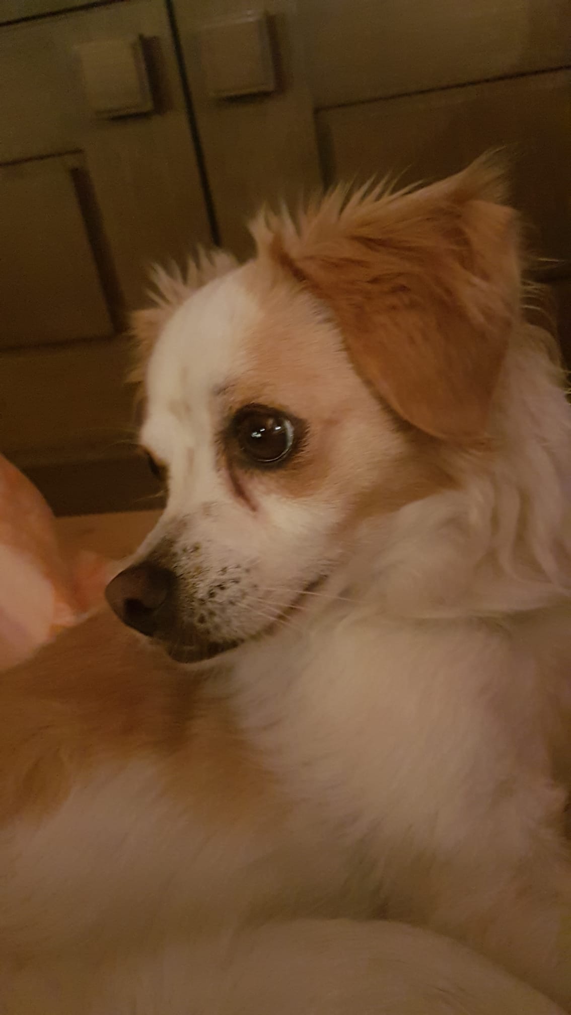 24/7 persönliche Betreuung